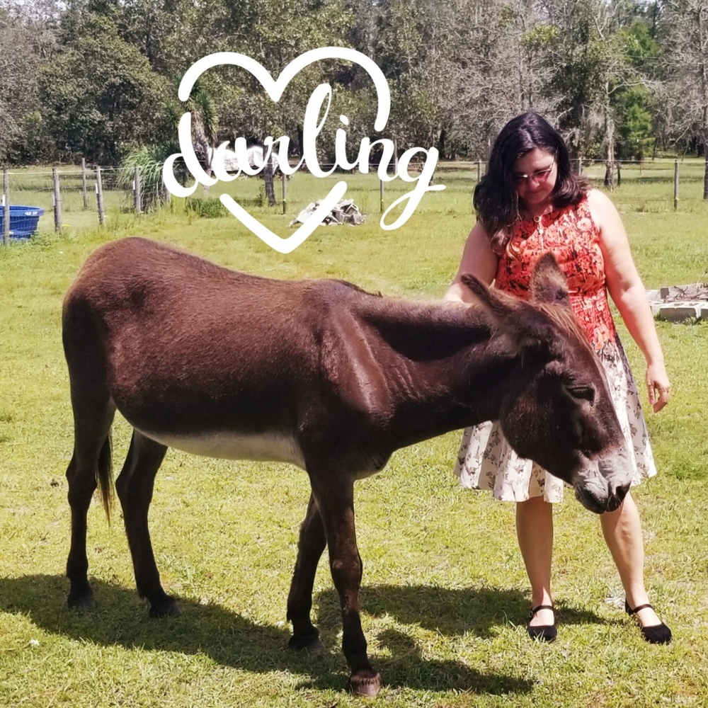 Meet your Posher, Diana